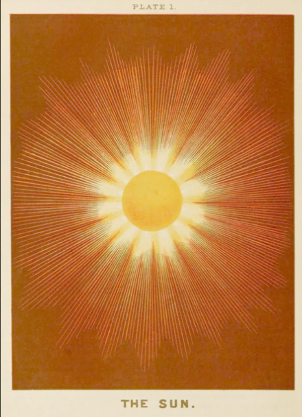 EL SOL CARTA DEL TAROT